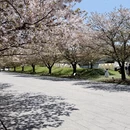 上海旅游 缩略图 2