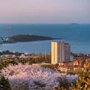 青岛旅游 缩略图 4