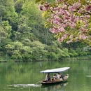 杭州旅游 缩略图 2