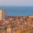 青岛旅游 缩略图 5