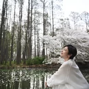 上海旅游 缩略图 2