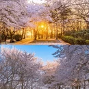 青岛旅游 缩略图 2