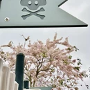 深圳旅游 缩略图 3