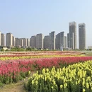 南昌旅游 缩略图 3