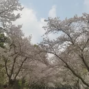 无锡旅游 缩略图 3