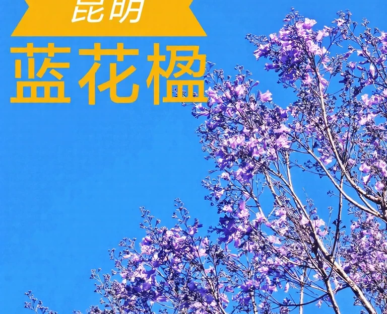 昆明旅游 1