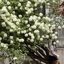 长沙旅游 缩略图 5