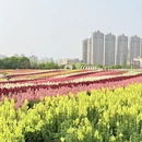 南昌旅游 缩略图 1