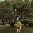 深圳旅游 缩略图 5