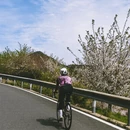 上海旅游 缩略图 10