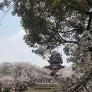 无锡旅游 缩略图 4