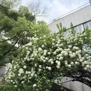 长沙旅游 缩略图 9