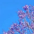 昆明旅游 缩略图 4