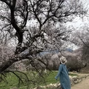 林芝旅游 缩略图 4