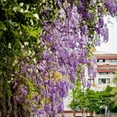 杭州旅游 缩略图 2