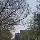 昆明旅游 缩略图 6