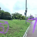 武汉旅游 缩略图 6