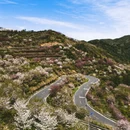 上海旅游 缩略图 8