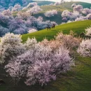 徐州旅游 缩略图 4