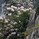 林芝旅游 缩略图 12