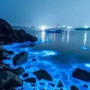 徐州旅游 缩略图 5