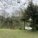 深圳旅游 缩略图 11