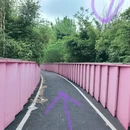 武汉旅游 缩略图 8