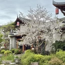 台州旅游 缩略图 8