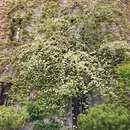 南京旅游 缩略图 2