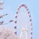 上海旅游 缩略图 5