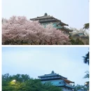 武汉旅游 缩略图 1