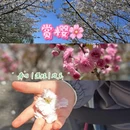 上海旅游 缩略图 1