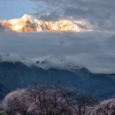 林芝旅游 缩略图 4