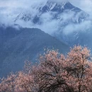 林芝旅游 缩略图 1