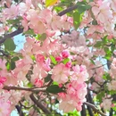 青岛旅游 缩略图 3