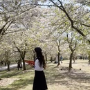 上海旅游 缩略图 15