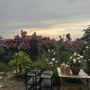 成都旅游 缩略图 16