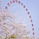 上海旅游 缩略图 3