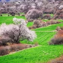 林芝旅游 缩略图 3