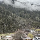 林芝旅游 缩略图 10
