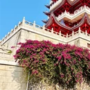 韶关旅游 缩略图 10