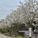 台州旅游 缩略图 3