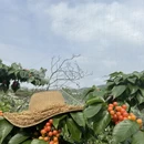 成都旅游 缩略图 14