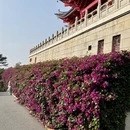 韶关旅游 缩略图 15