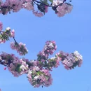 青岛旅游 缩略图 5