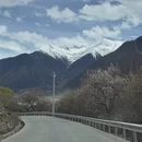林芝旅游 缩略图 18