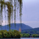 杭州旅游 缩略图 13