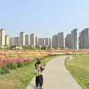 南昌旅游 缩略图 4