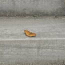 景德镇旅游 缩略图 7