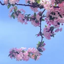 青岛旅游 缩略图 9